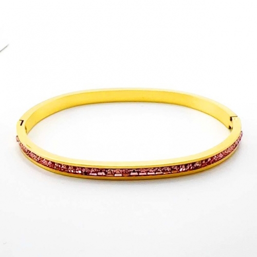 Stainless Steel Brand Bangle-RR230717-Rrs04488-24