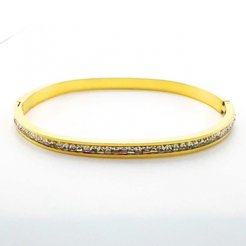 Stainless Steel Brand Bangle-RR230717-Rrs04486-24