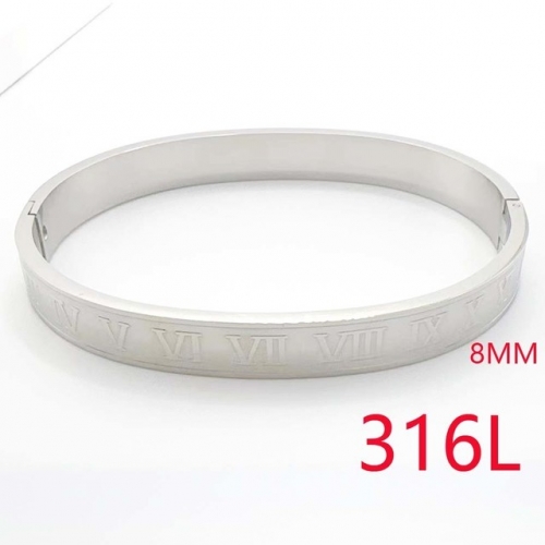 Stainless Steel Brand Bangle-RR230717-Rrs04480-14