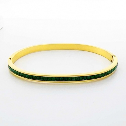 Stainless Steel Brand Bangle-RR230717-Rrs04489-24