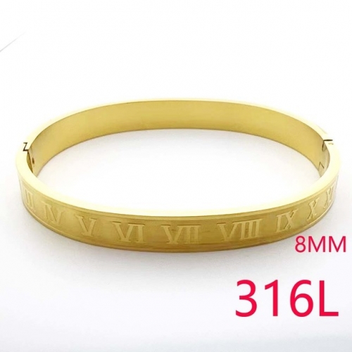 Stainless Steel Brand Bangle-RR230717-Rrs04481-15