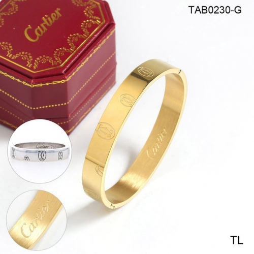 Stainless Steel Brand Bangle-SN230717-TAB0230-G-19