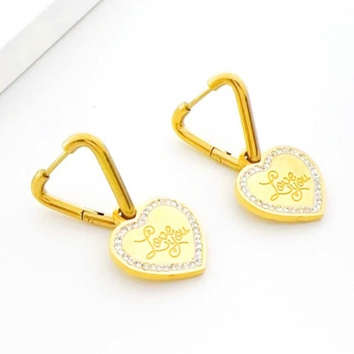 Stainless Steel Brand Earrings-RR230717-Rre1042-15