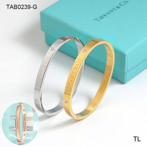 Stainless Steel Brand Bangle-SN230717-TAB0239-G-19