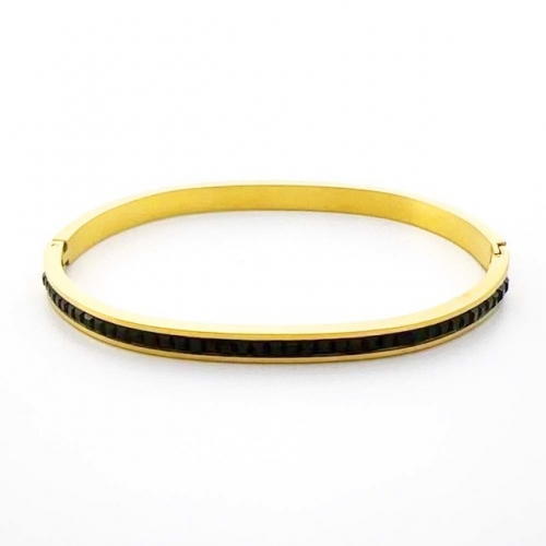 Stainless Steel Brand Bangle-RR230717-Rrs04487-24