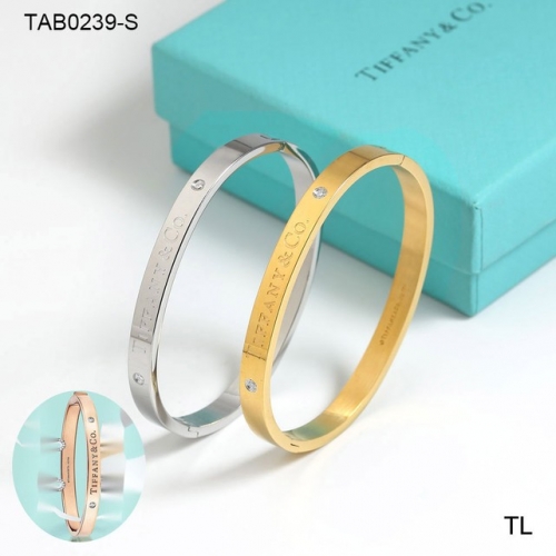 Stainless Steel Brand Bangle-SN230717-TAB0239-S-15.5