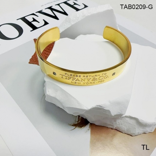 Stainless Steel Brand Bangle-SN230809-TAB0209-G-20