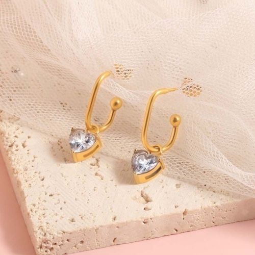 Stainless Steel Earrings-SN230809-TE8337-G-W-11.4