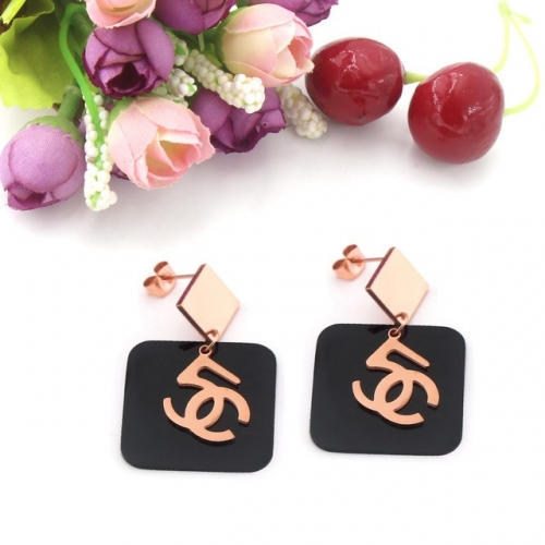 Stainless Steel Brand Earrings-HY230818-P10VFD (2)