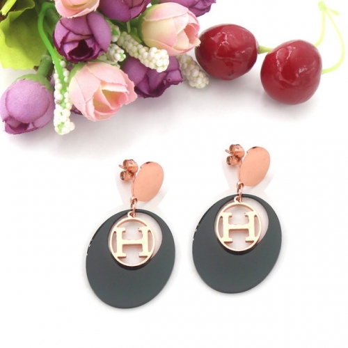 Stainless Steel Brand Earrings-HY230818-P10VFD (3)