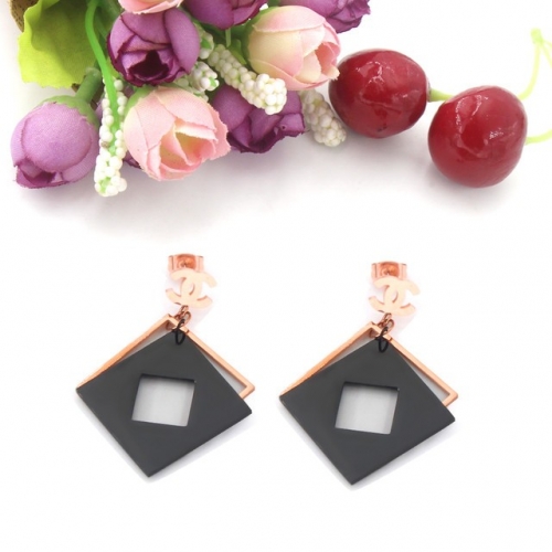 Stainless Steel Brand Earrings-HY230818-P10VFD (5)