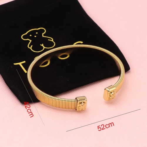 Stainless Steel TOU*S Bangle-HY230818-P18SSF (3)