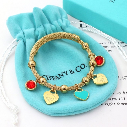 Stainless Steel Brand Bangle-HY230818-P17MIE (7)