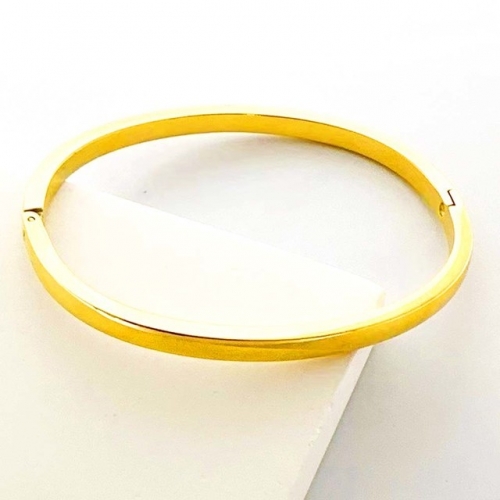 Stainless Steel Brand Bangle-RR230825-Rrs04526-18