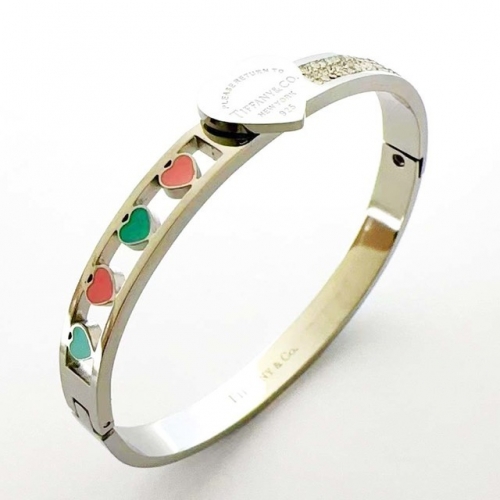 Stainless Steel Brand Bangle-RR230825-Rrs04529-23