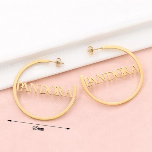 Stainless Steel Brand Earrings-HY230831-P14CSI