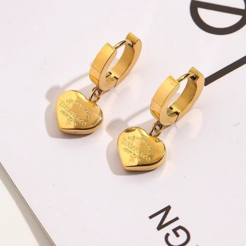 Stainless Steel Brand Earrings-YWA230907-P10.5BGF