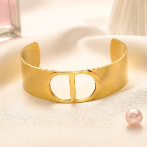 Stainless Steel Brand Bangle-YWA230907-P12VES