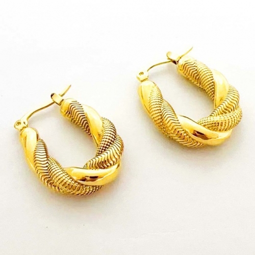 Stainless Steel Earrings-RR230907-Rre1108-17