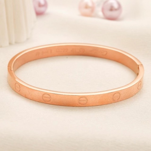 Stainless Steel Brand Bangle-YWA230907-P10FFG (1)