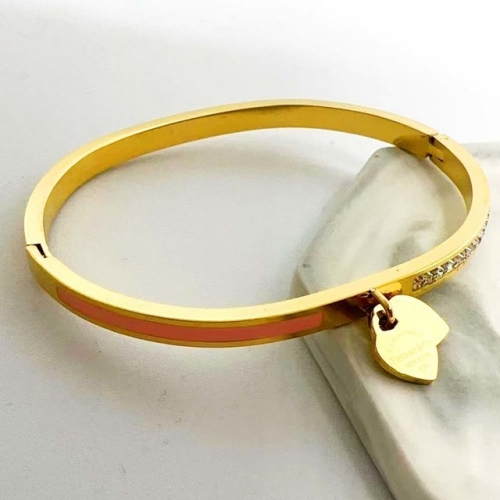 Stainless Steel Brand Bangle-RR230907-Rrs04537-24