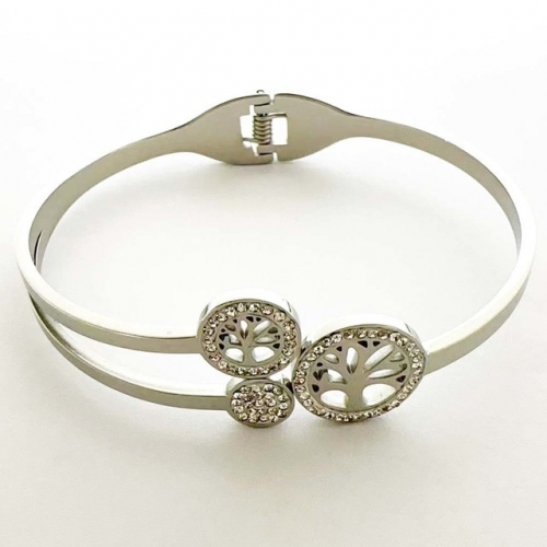Stainless Steel Bangle-RR230907-Rrs04550-23