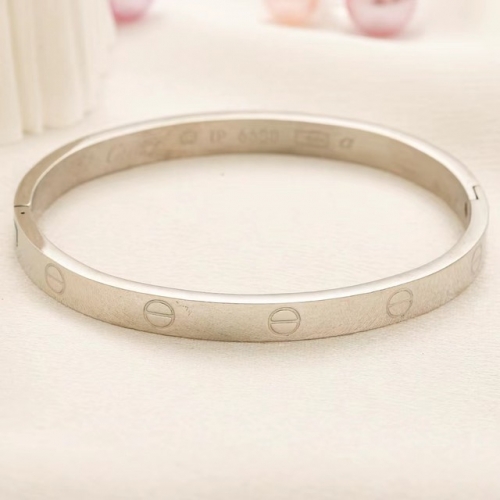 Stainless Steel Brand Bangle-YWA230907-P10FFG (3)