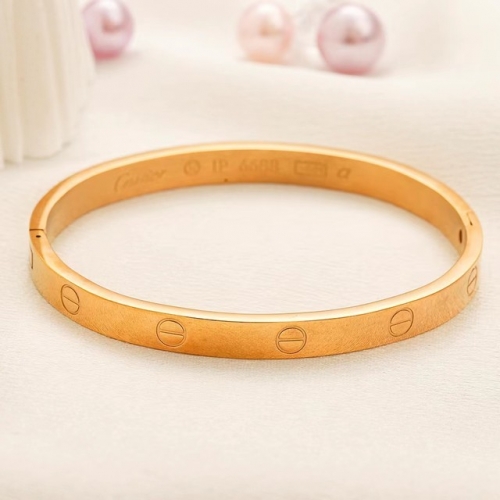 Stainless Steel Brand Bangle-YWA230907-P10FFG (2)