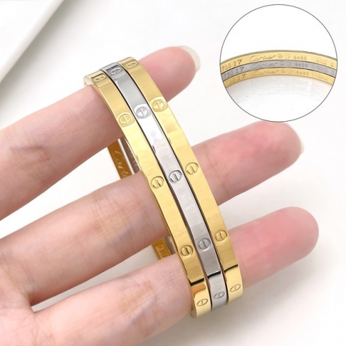 Stainless Steel Brand Bangle-HY231005-P24VIKL (6)