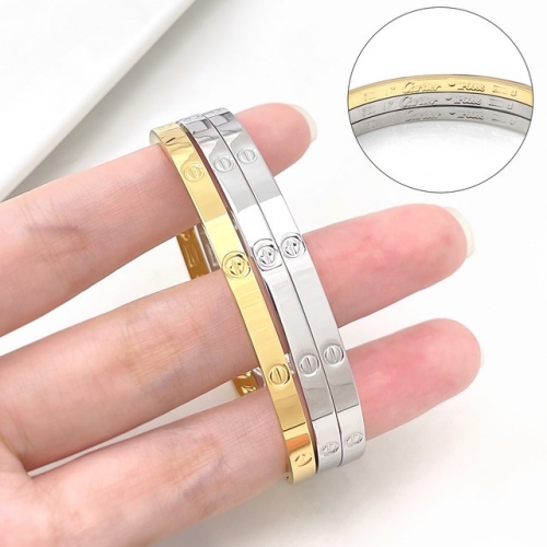 Stainless Steel Brand Bangle-HY231005-P24VIKL (4)