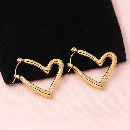 Stainless Steel Earrings-HY231020-P11BIYT (15)