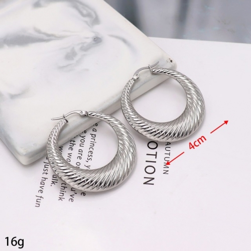 Stainless Steel Earrings-HY231020-P12VQQA (3)