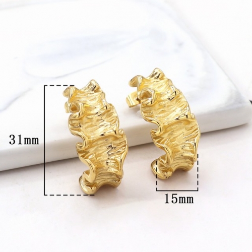 Stainless Steel Earrings-HY231020-P13RESZ (1)