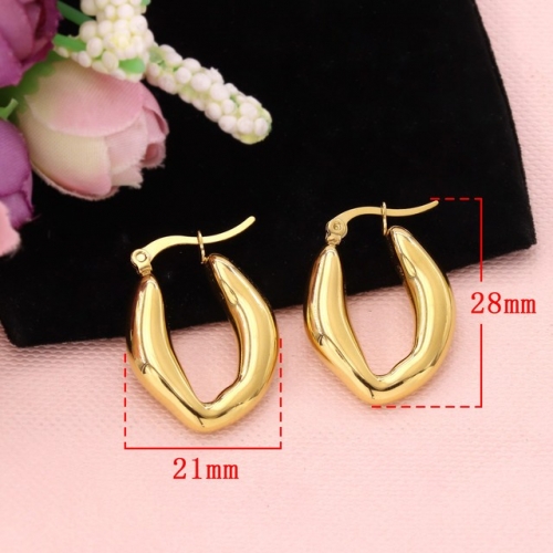 Stainless Steel Earrings-HY231020-P11BIYT (11)