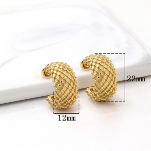 Stainless Steel Earrings-HY231020-P12VQQA (9)