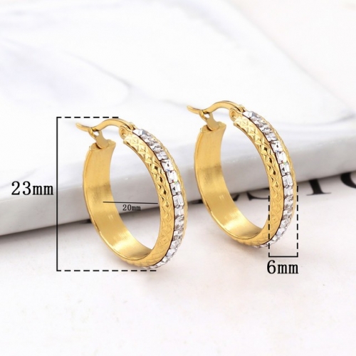 Stainless Steel Earrings-HY231020-P13RESZ (2)