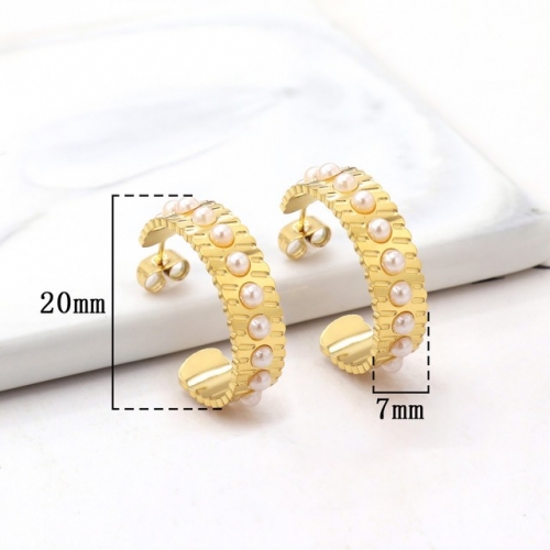 Stainless Steel Earrings-HY231020-P11BIYT (13)