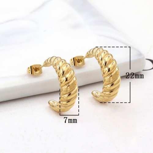 Stainless Steel Earrings-HY231020-P11BIYT (8)