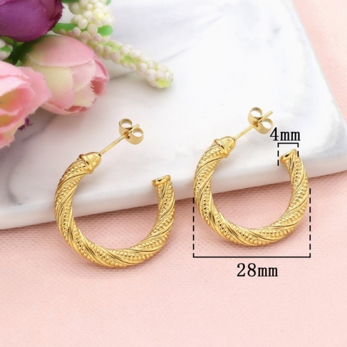 Stainless Steel Earrings-HY231020-P11BIYT (7)