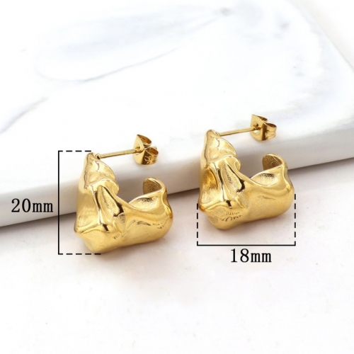 Stainless Steel Earrings-HY231020-P12VQQA (8)