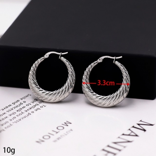 Stainless Steel Earrings-HY231020-P12VQQA (1)