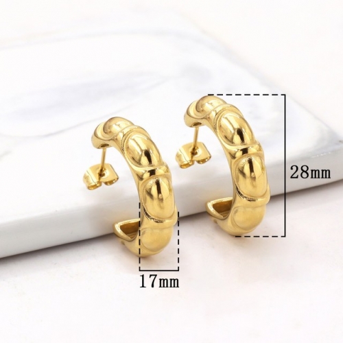 Stainless Steel Earrings-HY231020-P12VQQA (5)