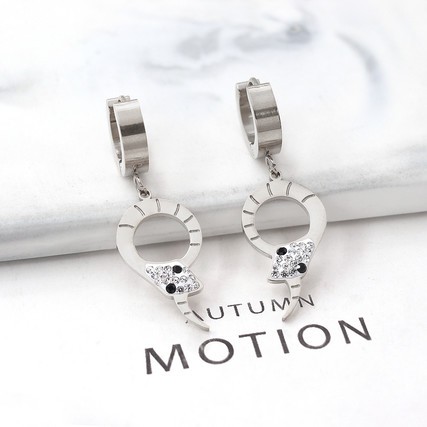 Stainless Steel Earrings-HY231020-P10VFOO (4)