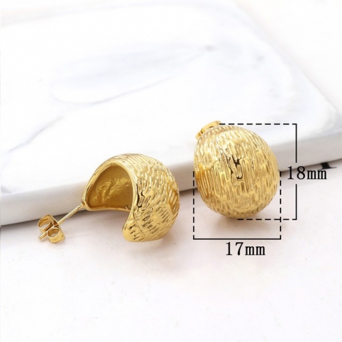 Stainless Steel Earrings-HY231020-P12VQQA (4)