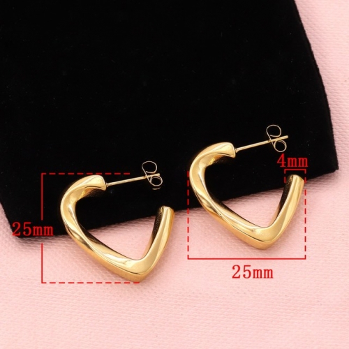 Stainless Steel Earrings-HY231020-P11BIYT (12)