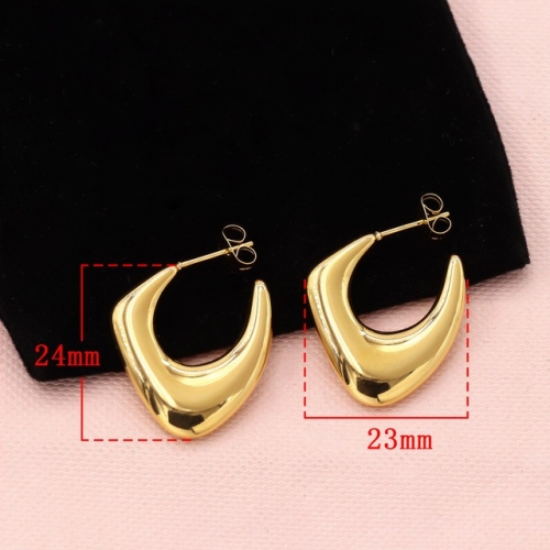 Stainless Steel Earrings-HY231020-P11BIYT (9)