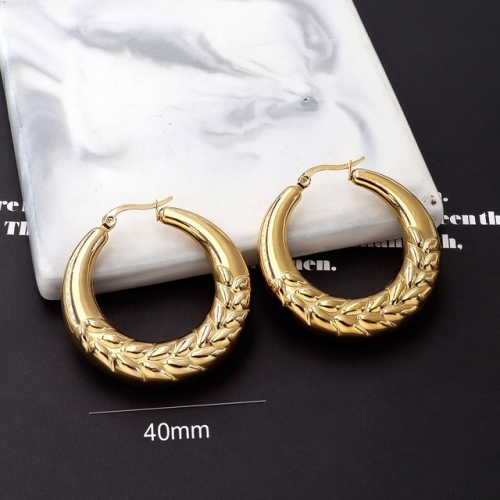 Stainless Steel Earrings-HY231020-P13RESZ (4)