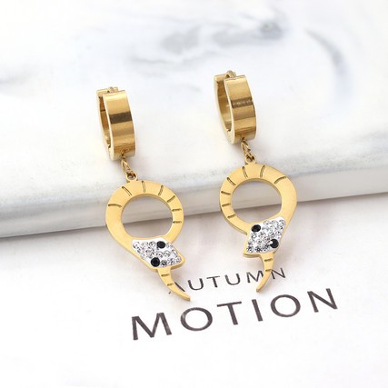 Stainless Steel Earrings-HY231020-P10VFOO (2)