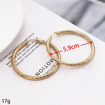 Stainless Steel Earrings-HY231020-P10VFOO (1)