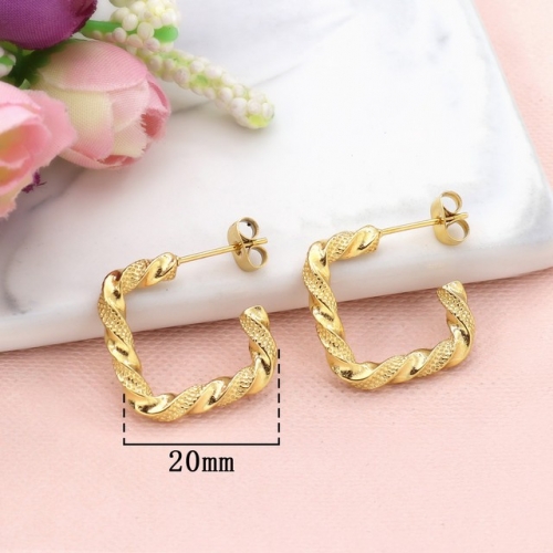 Stainless Steel Earrings-HY231020-P11BIYT (10)